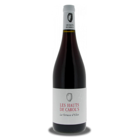 Domaine La Terrasse d'Elise Les Hauts de Carol's 2021