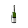 Champagne Daubanton Brut