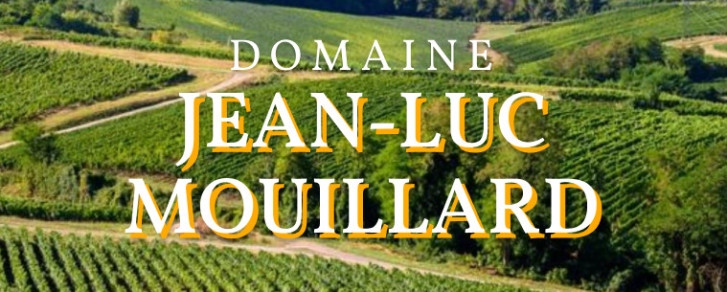 Domaine Jean-Luc Mouillard