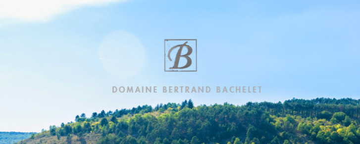 Domaine Bertrand Bachelet