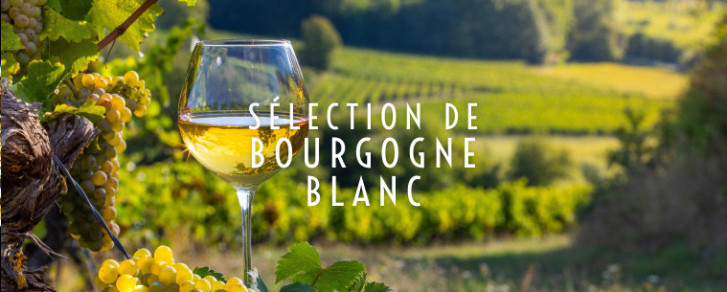 Bourgogne Blanc